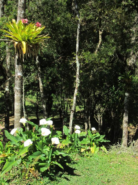 Holiday home Sitio Pindorama